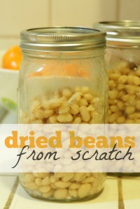 dried_beans_scratch